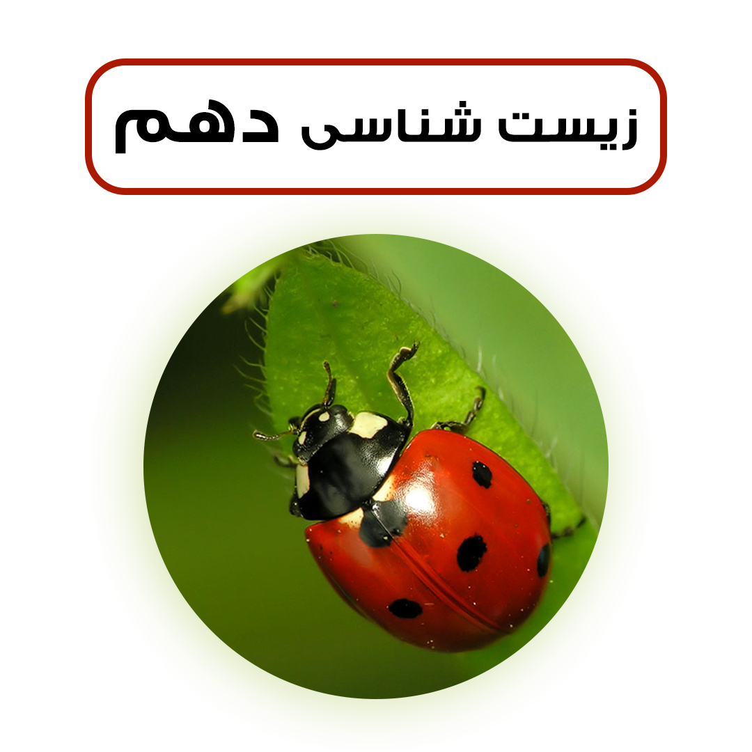 کلاس زیست شناسی دهم